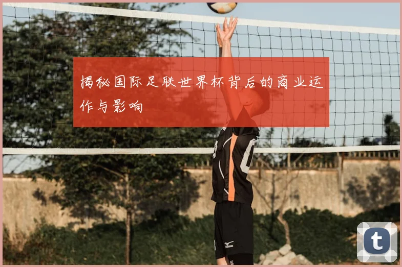揭秘国际足联世界杯背后的商业运作与影响